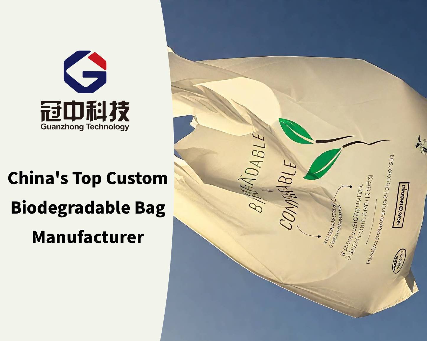 China's Top Custom Biodegradable Bag Manufacturer
