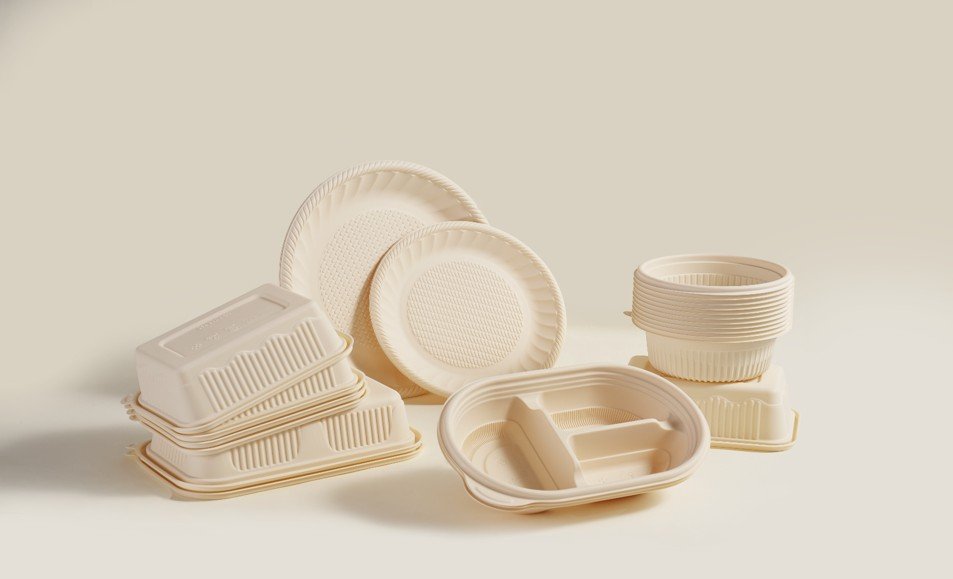 custom Disposable Plate