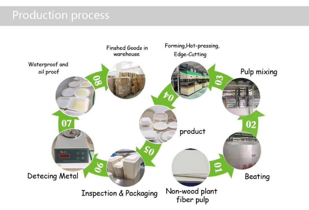 Biodegradable Tableware Production Process