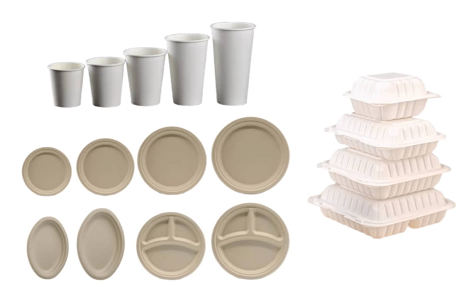 Custom Disposable Plates size