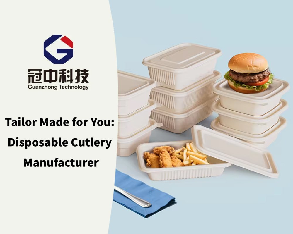 Tailor Made for You Disposable Cutlery Manufacturer
