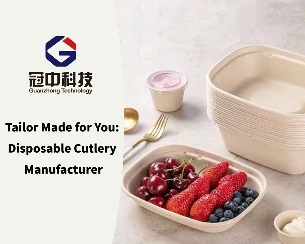 Tailor Made for You_ Disposable Cutlery Manufacturer
