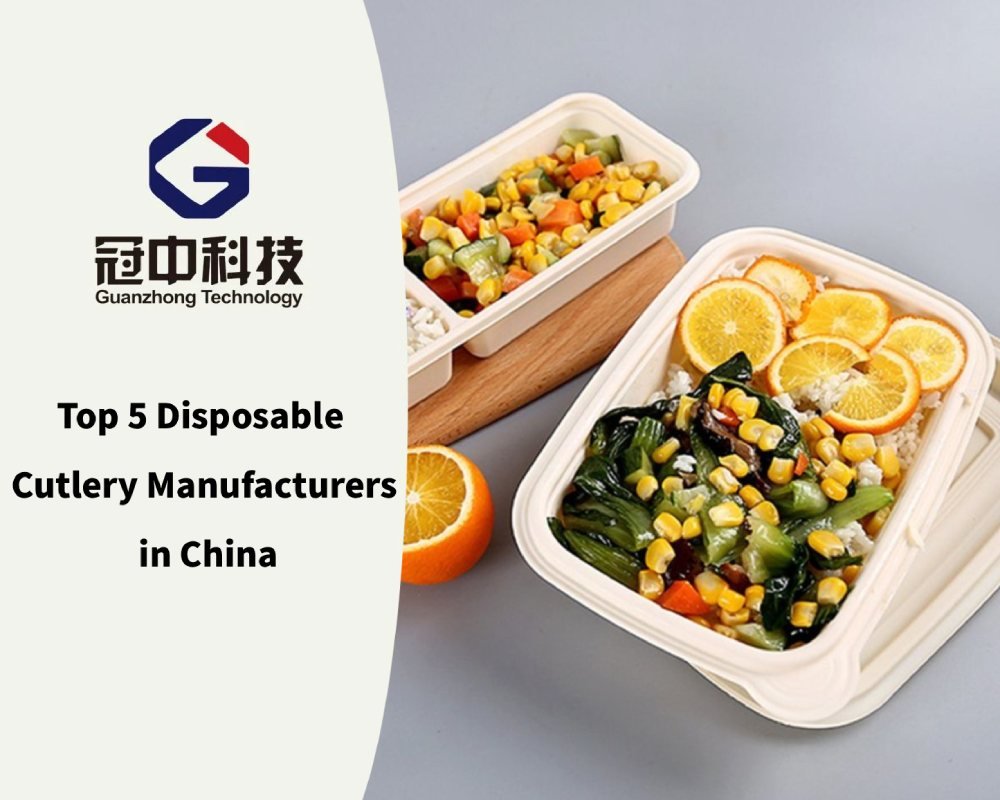 Top 5 Disposable Cutlery Manufacturers in China