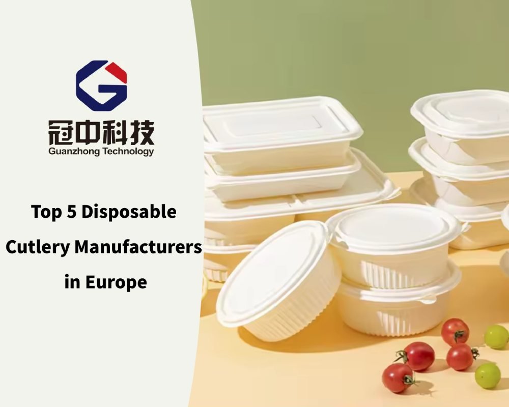 Top 5 Disposable Cutlery Manufacturers in Europe