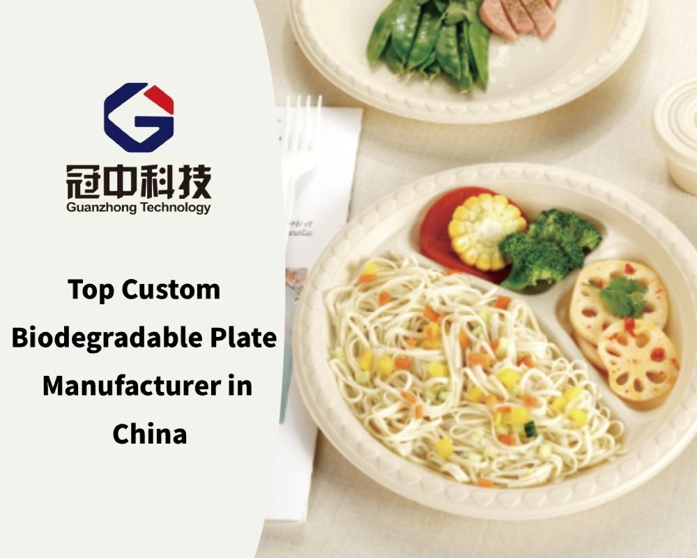 Top Custom Biodegradable Plate Manufacturer in China