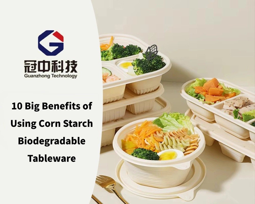 10 Big Benefits of Using Corn Starch Biodegradable Tableware