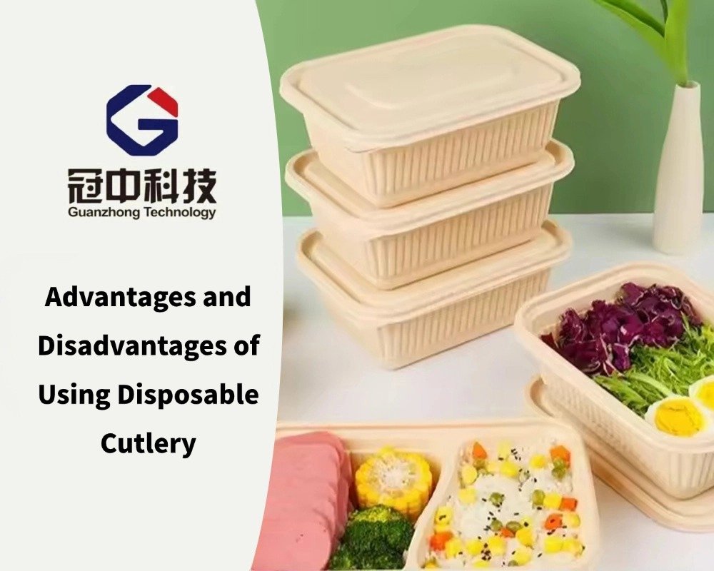 Advantages and Disadvantages of Using Disposable Cutlery