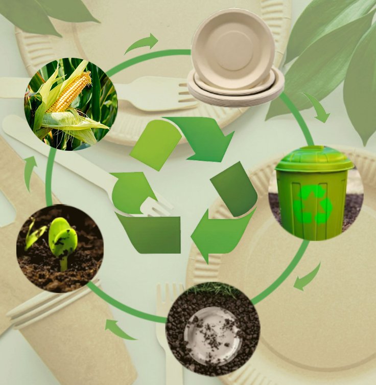 Degradation process of corn starch tableware