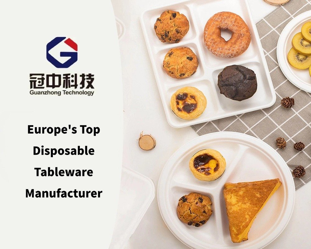 Europe's Top Disposable Tableware Manufacturer