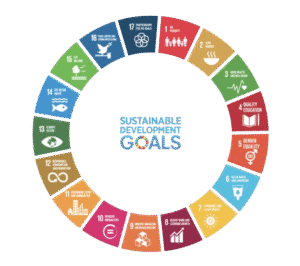 Guanzhong Case Study - Japanese Bio-based PE Shopping Bag