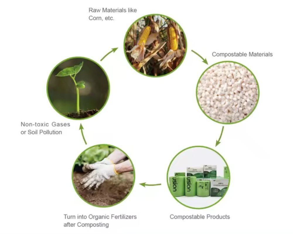 Product Degradation Process