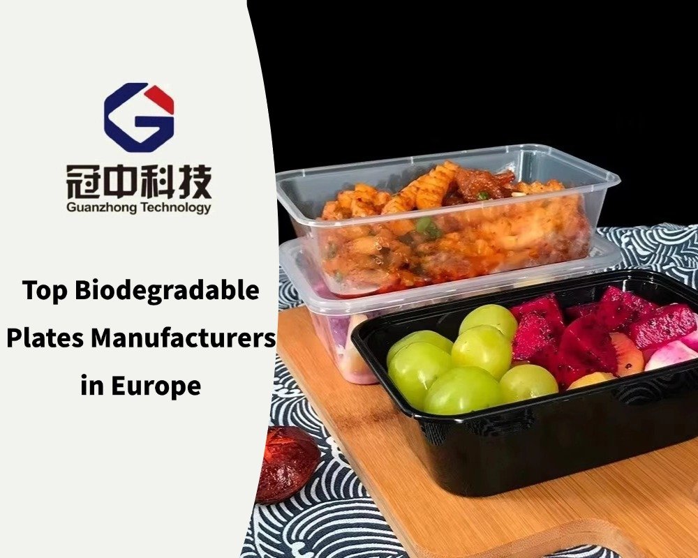 Top Biodegradable Plates Manufacturers in Europe