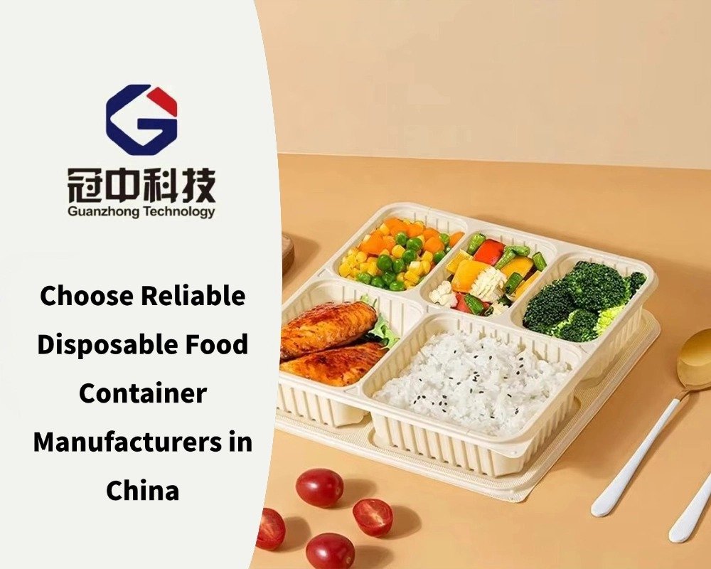 Choose Reliable Disposable Food Container Manufacturers in China