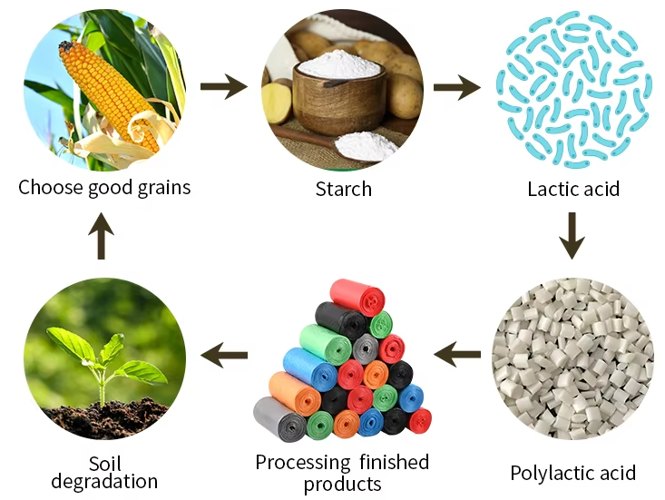 Corn Starch Bags Biodegradation Diagram