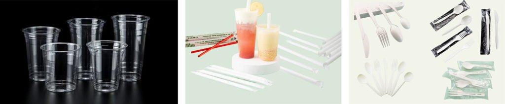 Disposable Plastic Container