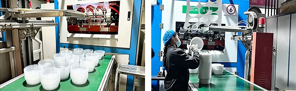 Disposable Plastic Container Manufacturer Factory
