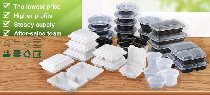Disposable Plastic Food Container