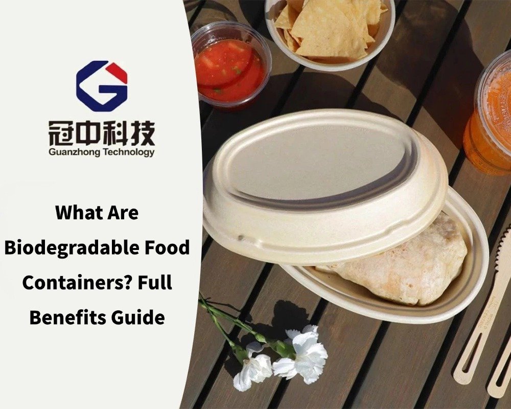 What Are Biodegradable Food Containers? Full Benefits Guide