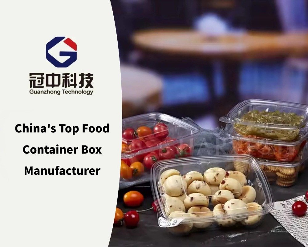 China's Top Food Container Box Manufacturer