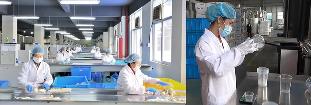 Guanzhong disposable plastic food container manufacturer factory