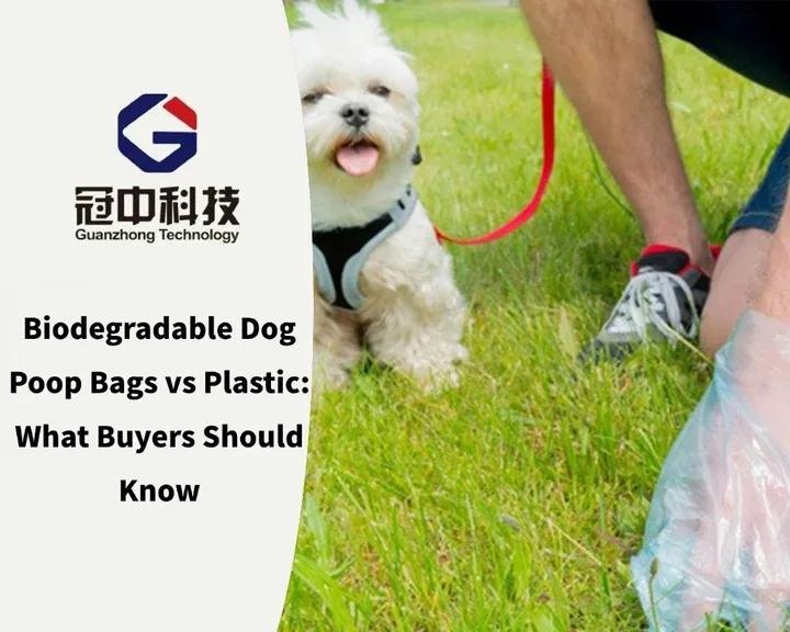 Top Biodegradable Bag Factory: Biodegradable Dog Poop Bags vs Plastic
