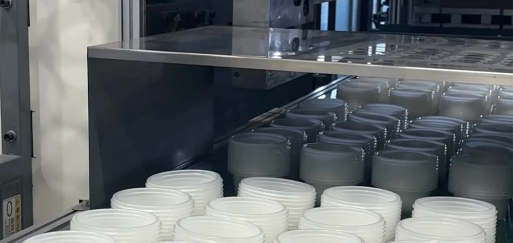 disposable plastic container manufacturer factory