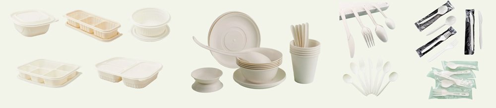 disposable plastic container manufacturer products
