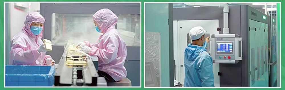 disposable plastic food container manufacturer manufacturing process