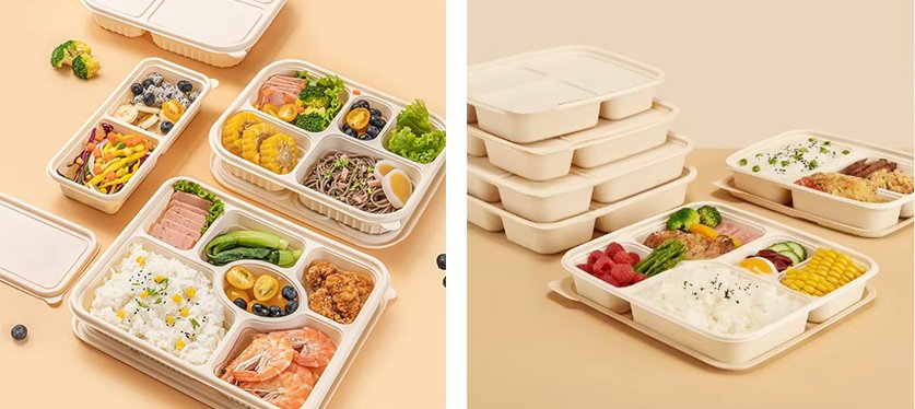 eco friendly food packaging manufacturers products