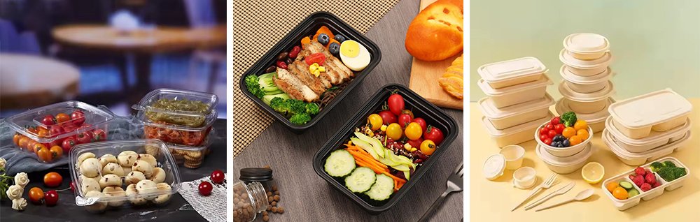 Disposable Plastic Container Manufacturer Products