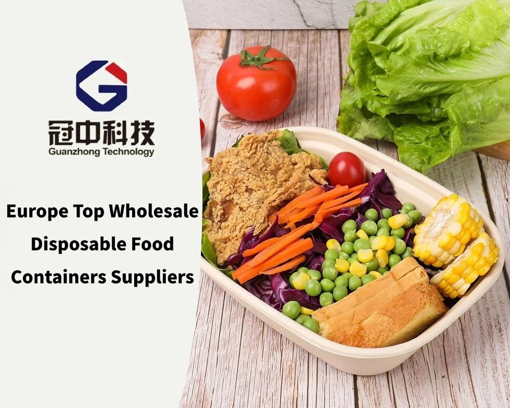 Europe Top Wholesale Disposable Food Containers Suppliers