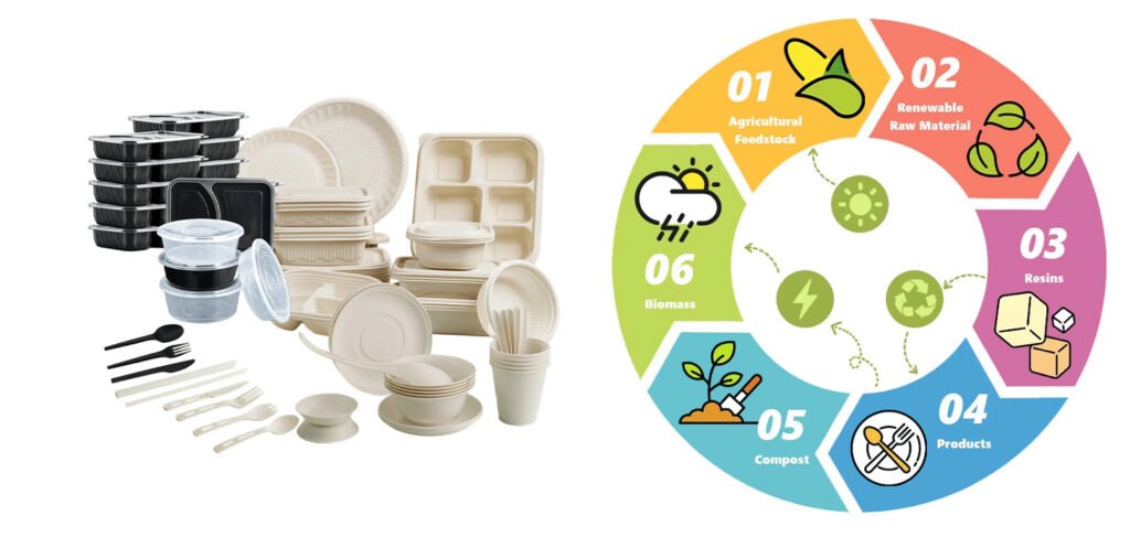 Guanzhong Disposable Plastic Food Container Manufacturer Bio-based and Degradable Materials