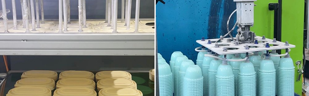 guanzhong Beto Box Disposable Wholesale Manufacturer