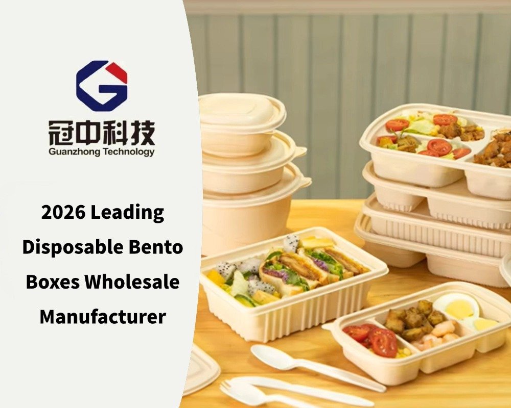 2026 Leading Disposable Bento Boxes Wholesale Manufacturer