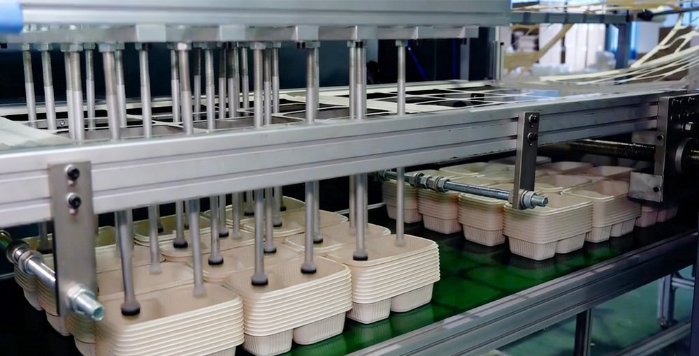 Eco Friendly Food Packaging Supplier Factory