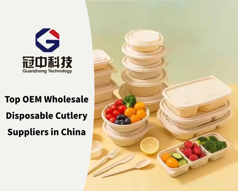 Top OEM Wholesale Disposable Cutlery Suppliers in China