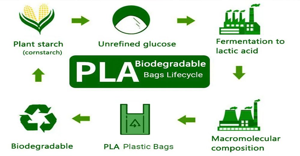 compostable plastic bags manufacturer degradation process