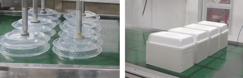 Disposable Plastic Container Manufacturer Manufacturing Capacity