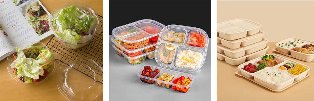 Disposable Plastic Container Manufacturer Product Range