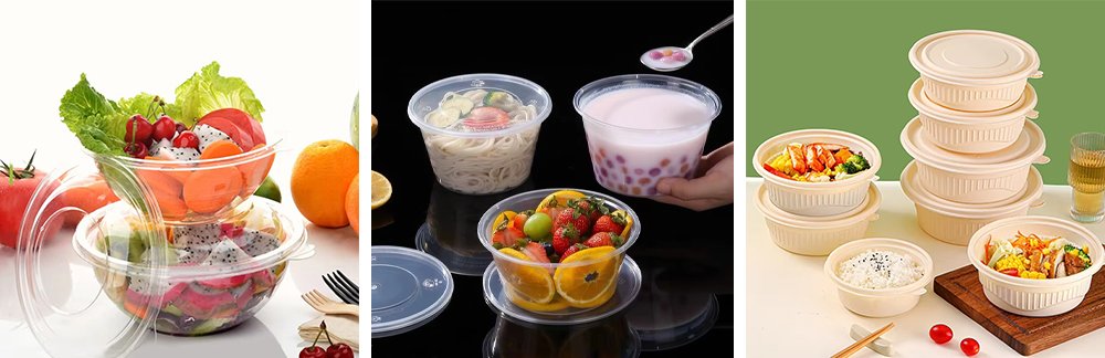 Disposable Plastic Container Manufacturer Products