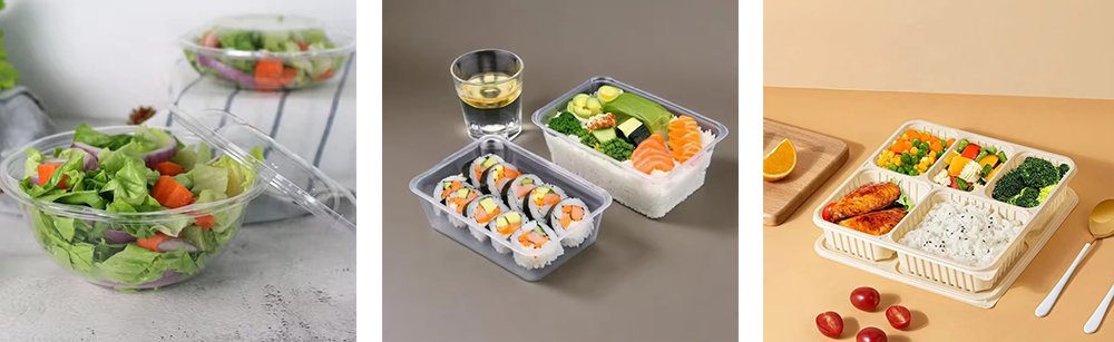 Eco Friendly Food Packaging