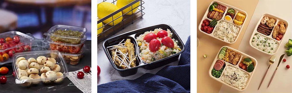 Guanzhong Biodegradable Food Containers Manufacturer Products