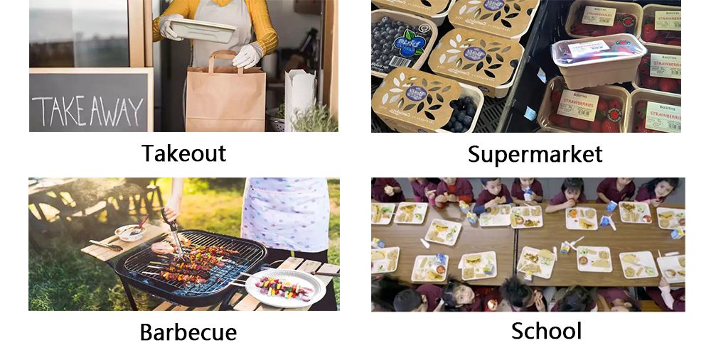 Guanzhong Custom Disposable Cutlery Manufacturers Application Scenarios