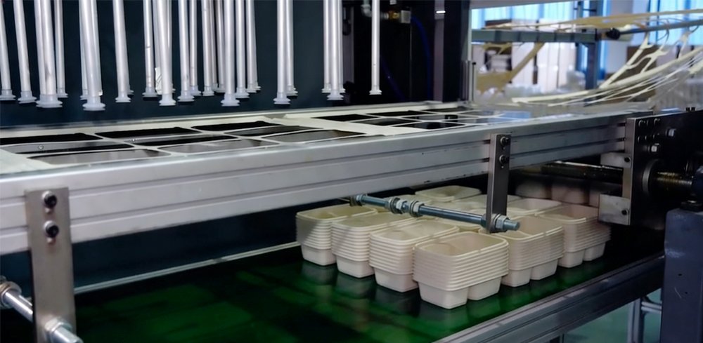 Guanzhong Disposable Food Packaging Manufacturer Factory