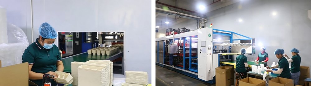 Guanzhong Plastic Disposable Food Containers Wholesale Supplier Factory