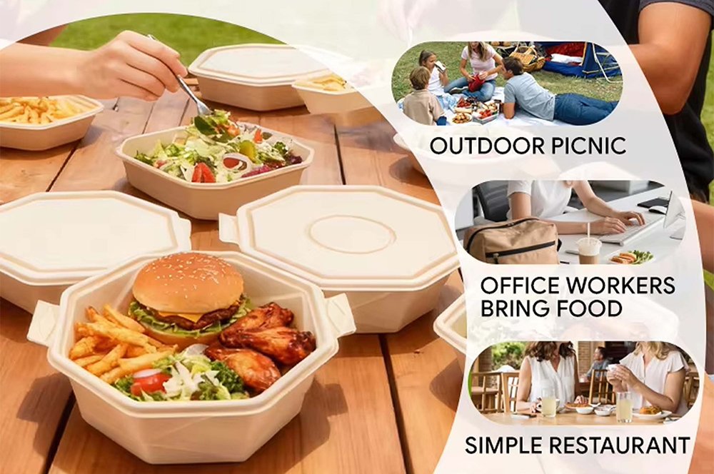 Guanzhong Plastic Disposable Food Containers Wholesale Supplier Product Applications