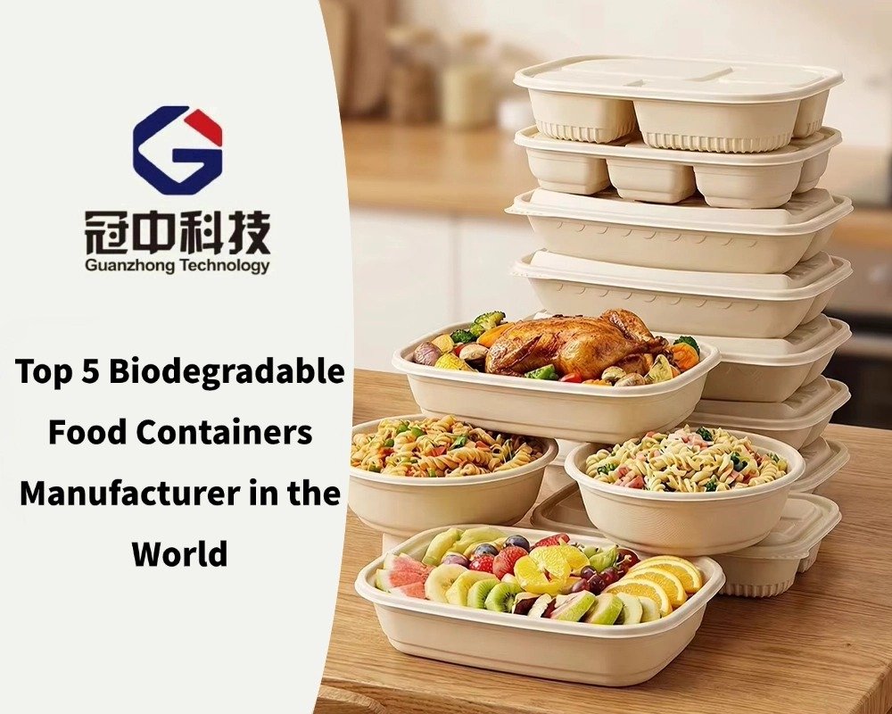 Top 5 Biodegradable Food Containers Manufacturer in the World