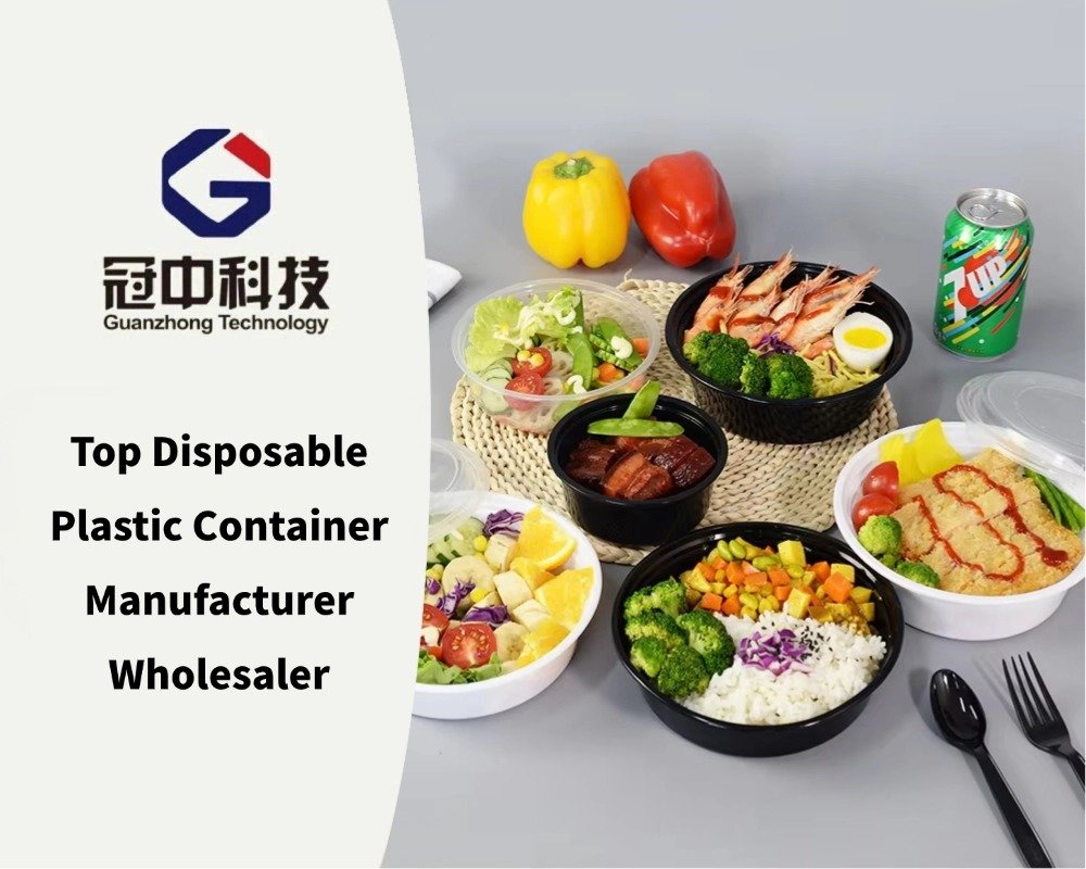 Top Disposable Plastic Container Manufacturer Wholesaler