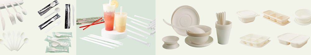 biodegradable food containers manufacturer products