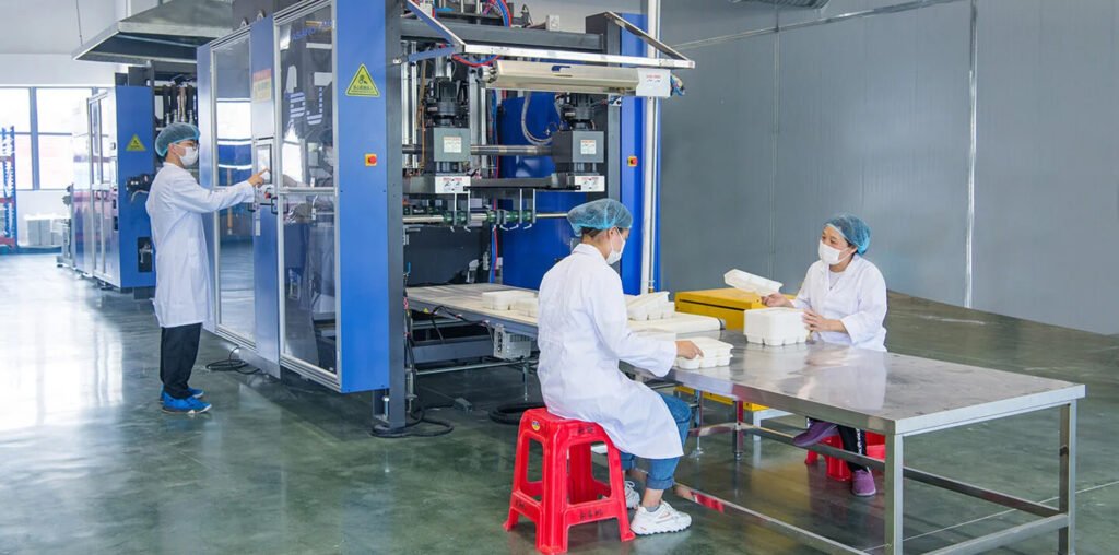 Disposable Food Packaging Manufacturers Factory